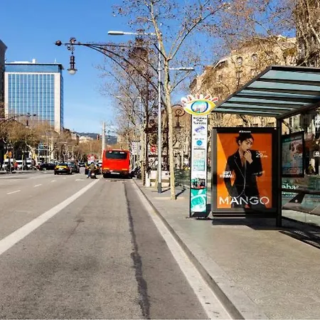 Provenza Flat