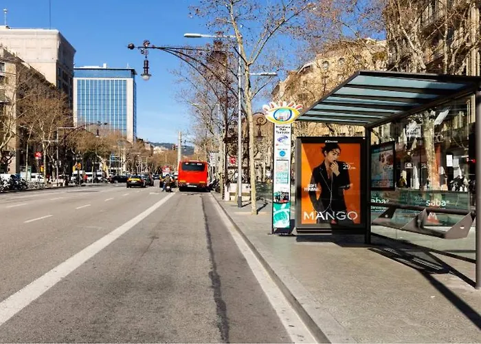 Provenza Flat